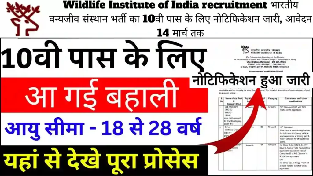 Wildlife Institute of India recruitment